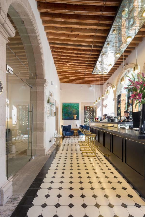 Boutique Chihuahua